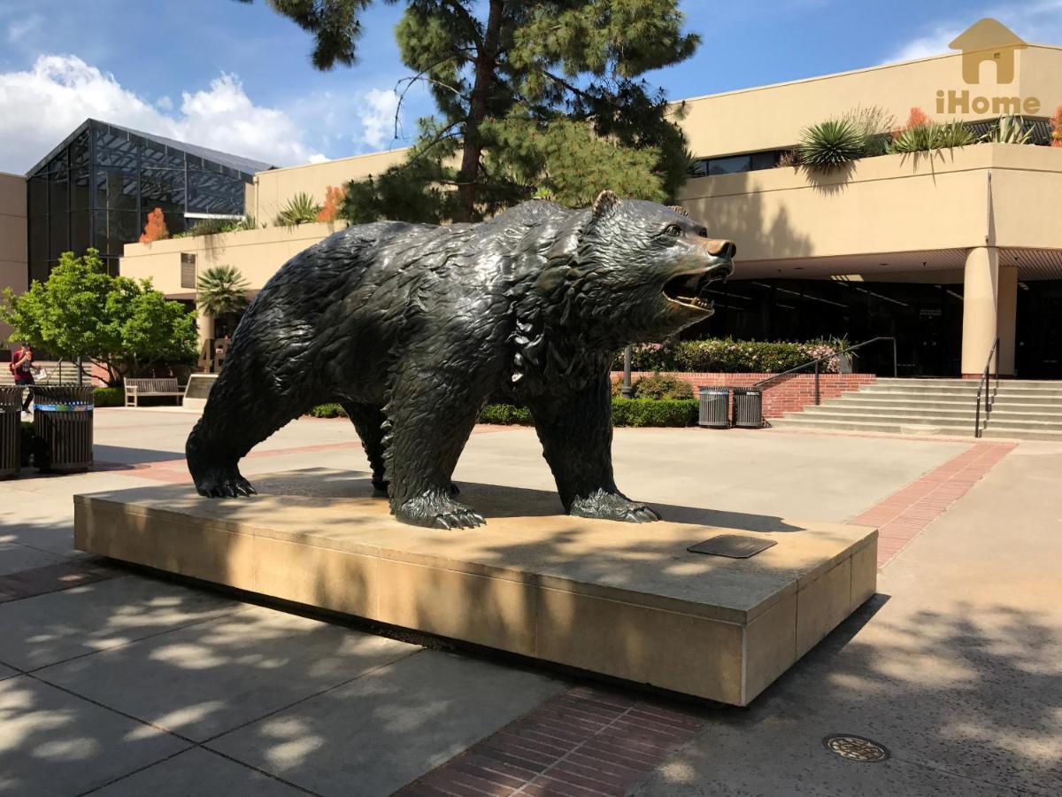 לוס אנג'לס Perfect Apt Near Ucla W Parking Gym Pool Wifi In Westwood B3 מראה חיצוני תמונה